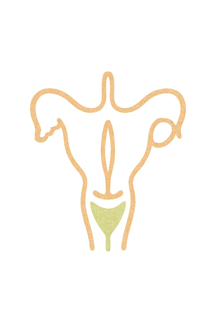 illustration parties intimes de femme